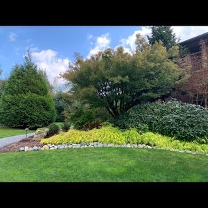 Meet your Posher, Tien